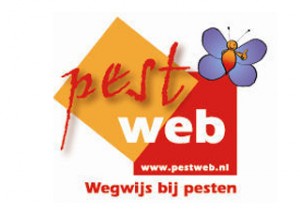 Wegwijs bij pesten en geweld